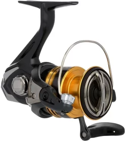 Shimano Sahara FJ Spinning Reels -Fishing Shop shimano sahara fj spinning reels 63926.1651444120