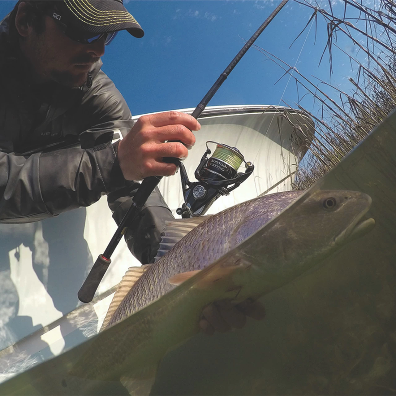 Shimano Sustain FI Spinning Reels 2 Shimano Sustain FI Spinning Reels - Image 2