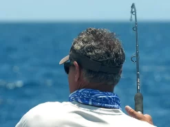 Shimano Terez Conventional Rods -Fishing Shop shimano terez conventional fishing rods 83511.1661538644