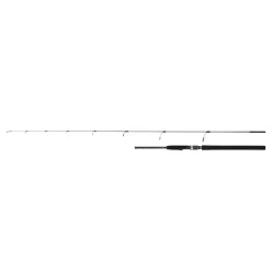 Spinning Rod Shimano Speedmaster R Jigging 250 G