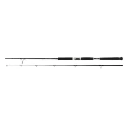 Spinning Rod Shimano Beastmaster Pilk 40-95g