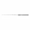 Casting Rod Shimano Beastmaster Catfish Fireball 85-200g
